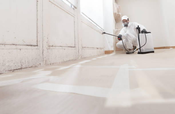 24/7 Emergency Bathroom Mold Removal experts in Orrstown, PA