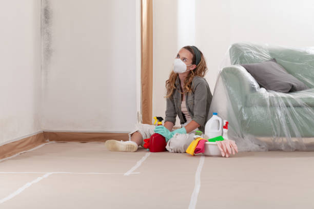 Reliable Bathroom Mold Removal contractor in Orrstown, PA by WQB Mold Removal